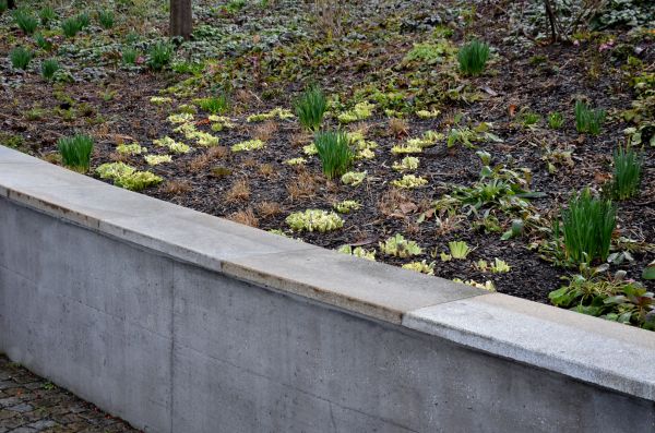 Concrete Wall Construction in San Marcos