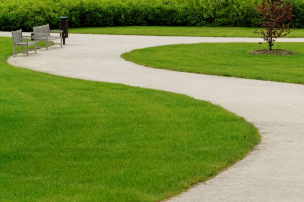 Sidewalk Concrete Service in San Marcos
