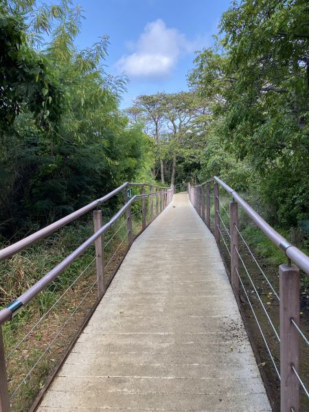 Footpath Construction in San Marcos