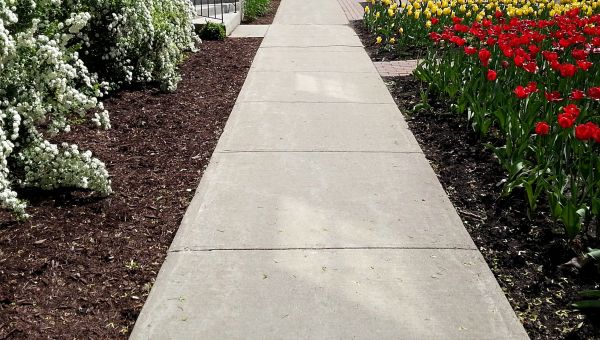 Cement Sidewalk Installation in San Marcos