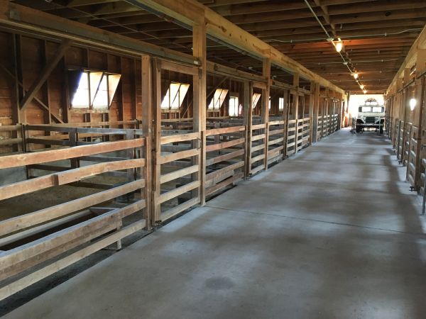 Barn Floor Pouring in San Marcos