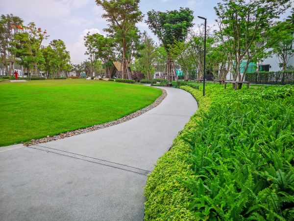 Cement Walkway Service in San Marcos