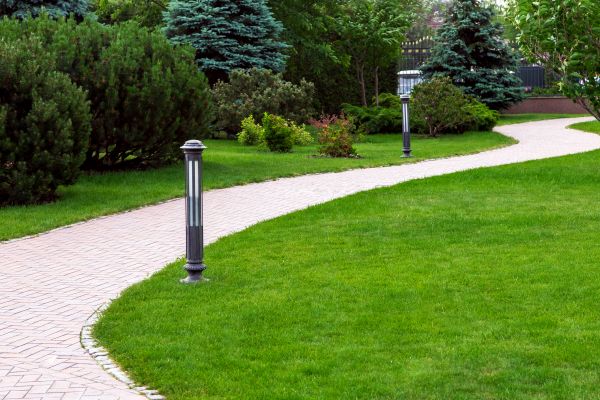 Backyard Sidewalk Installation in San Marcos