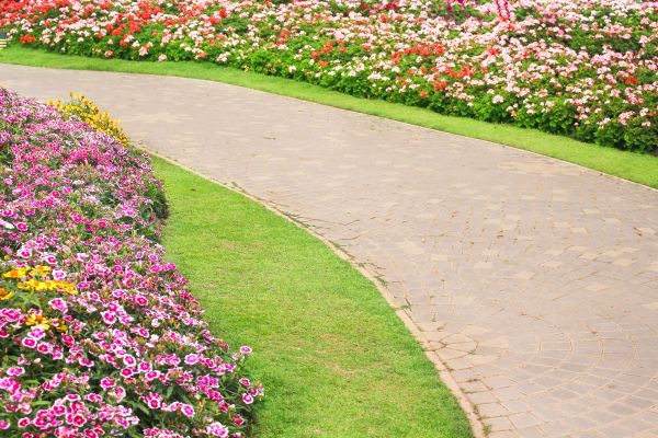 Concrete Walkway Service in San Marcos